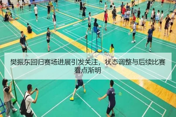 樊振东回归赛场进展引发关注，状态调整与后续比赛看点渐明